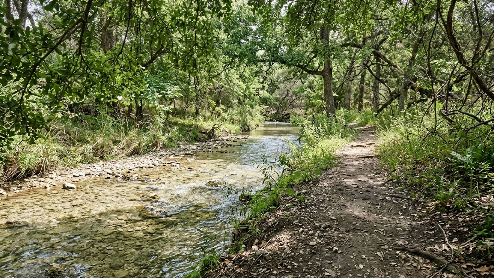 A shallow clear creek running over gravel beneath a dense green canopy, dappled light on the water, a packed dirt path along the bank, nobody in frame